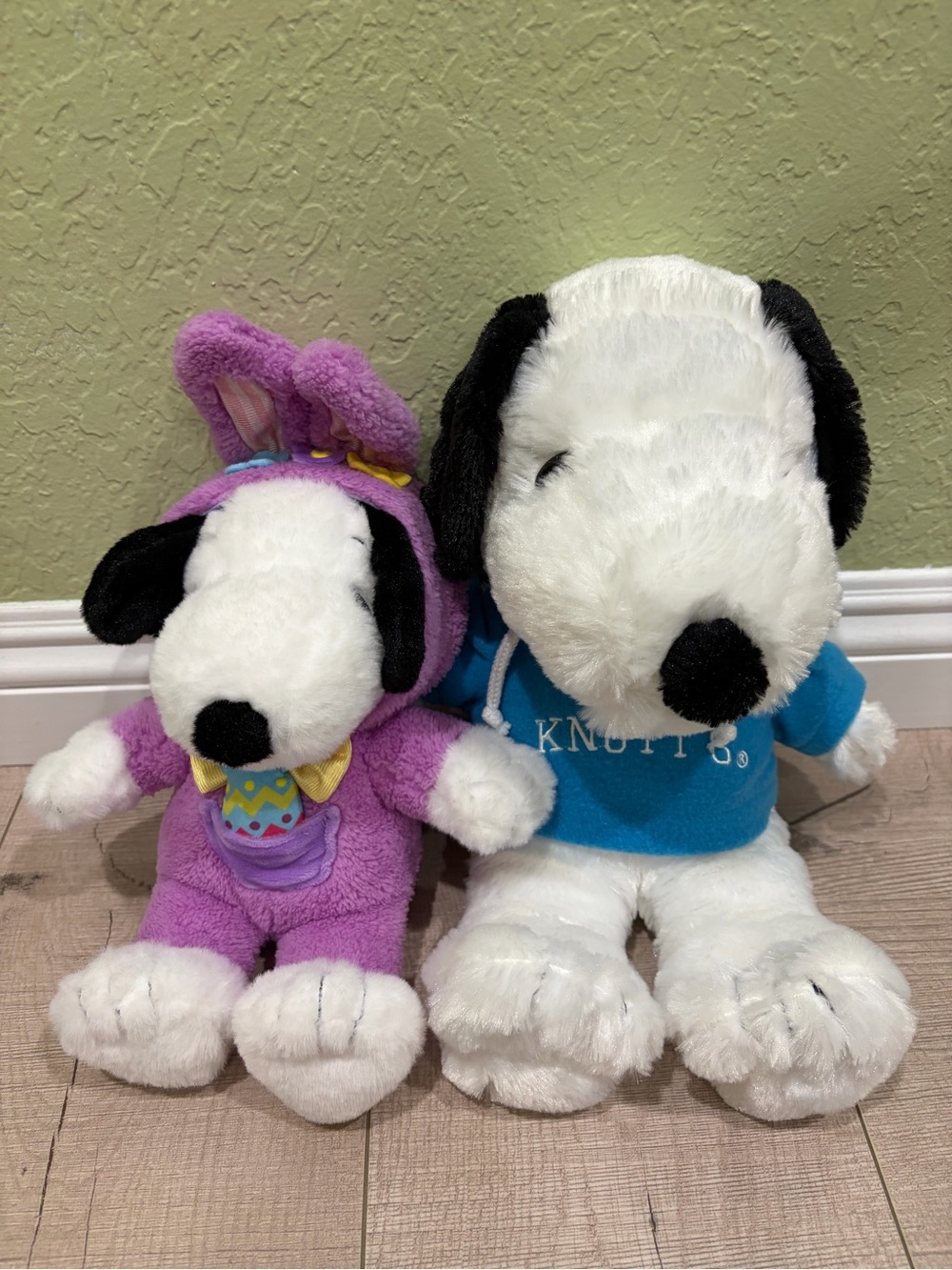 Peanuts Snoopy Duo